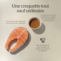 Fresh de-boned salmon as the first ingredient