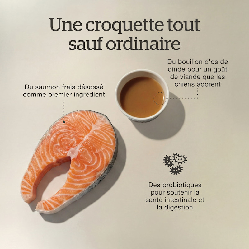 Fresh de-boned salmon as the first ingredient