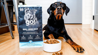 Doberman dog with bowl of Go! Solutions Dental + Immune Health kibble
