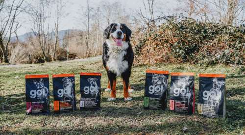 Bernese Mountain Dog outside with six GO! SOLUTIONS SENSITIVITIES kibble bags