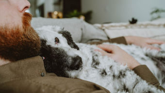 Man sleeping with dog on his chest