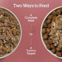 Serve as a Complete Meal or a Yummy Topper