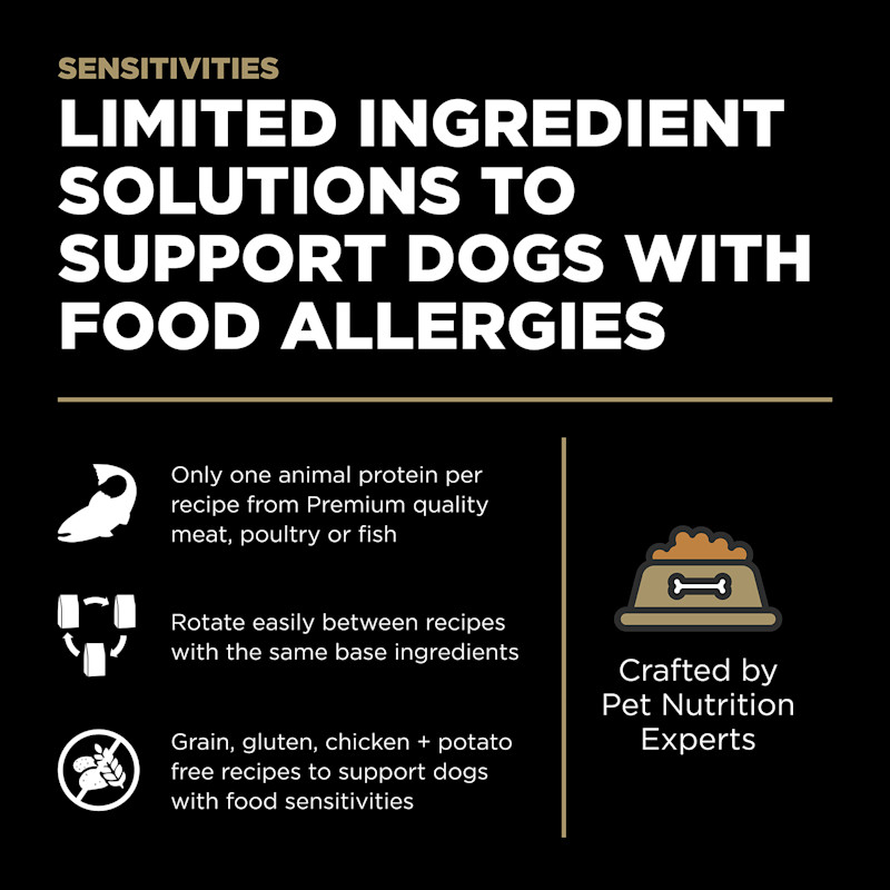 Limited ingredient solutions to support dogs with food allergies