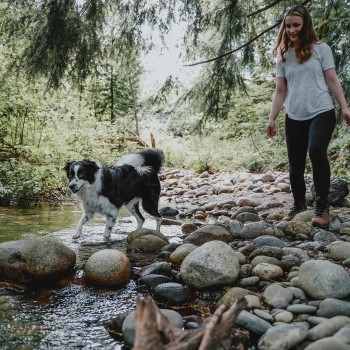 Border Collie and owner crossing creek