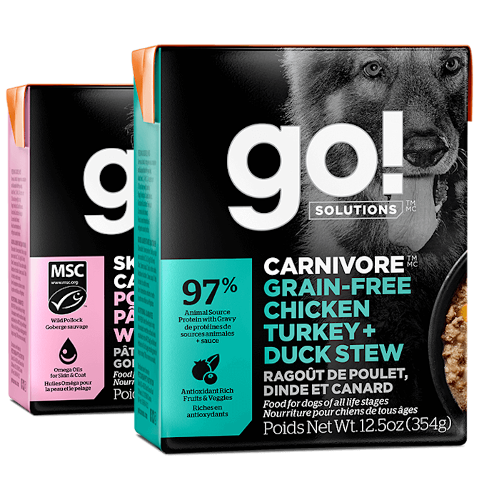 Go! Solutions wet food recipes for dogs