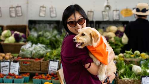 市场上的妇女怀里抱着戴着橙色头巾的狗