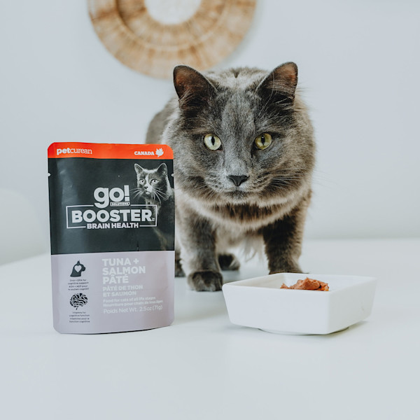 GO! Solutions Brain Health Tuna & Salmon Pâté Booster Cat Food Topper