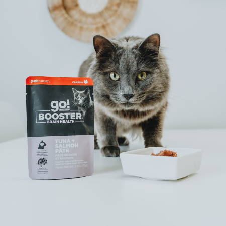 Cat with bowl of Go! Booster Brain Health Tuna + Salmon cat food topper