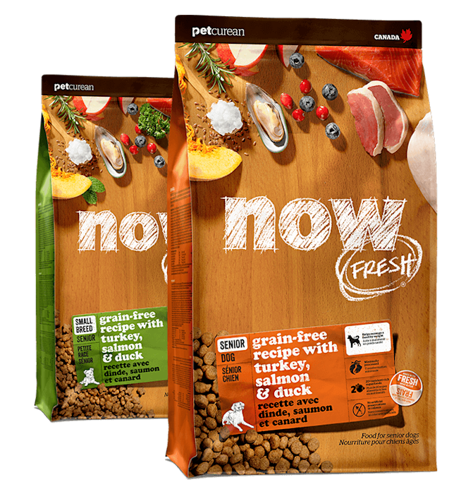 Now Fresh kibble for senior dogs