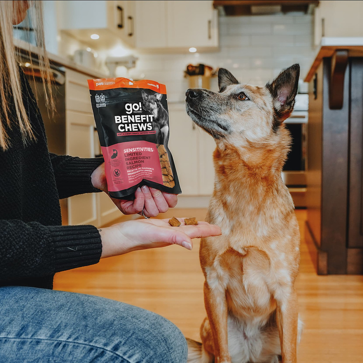 Dog waiting for Go! Solutions Benefit Chews Sensitivities treats