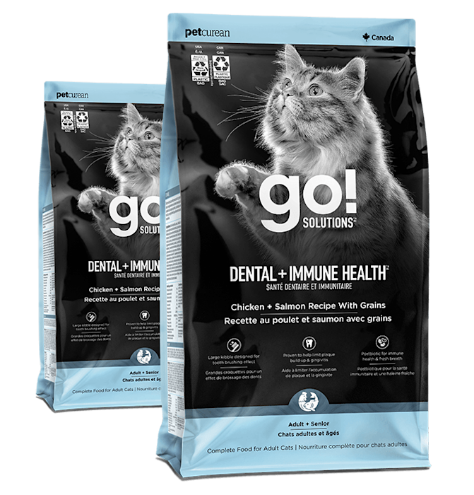 Go! Solutions Dental + Immune Health Chicken + Salmon Recipe for cats