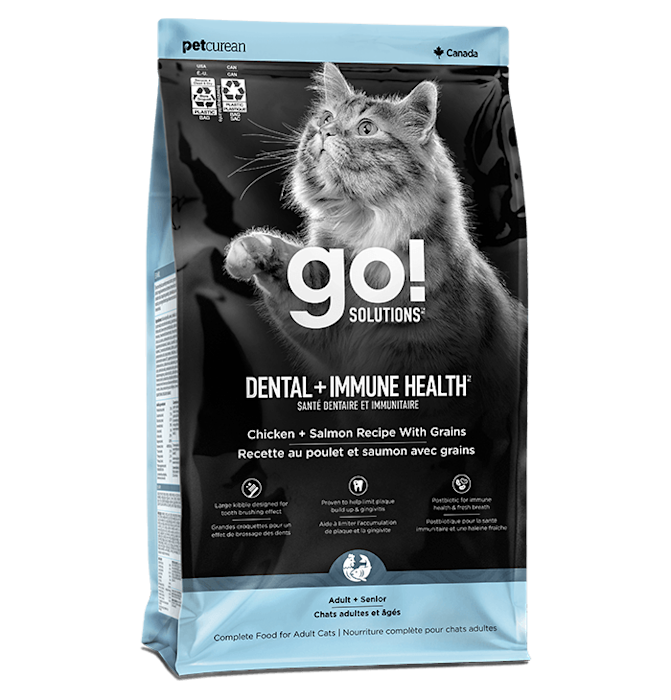 Go! Solutions Dental + Immune Health Chicken + Salmon Recipe for cats