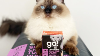 Ragdoll cat sitting on GO! SOLUTIONS kibble bag with Tetra Pak carton