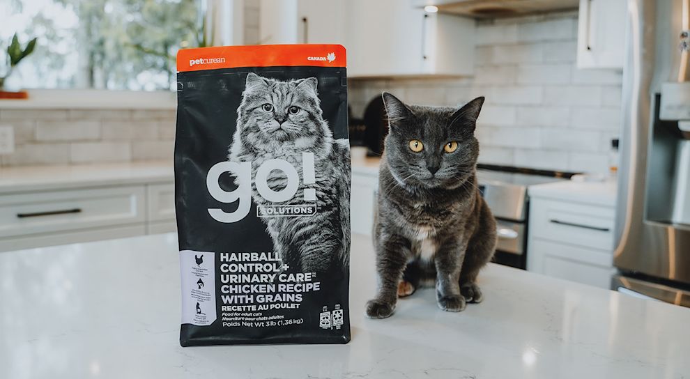 Cat sitting beside bag of Go! Hairball Control + Urinary Care kibble