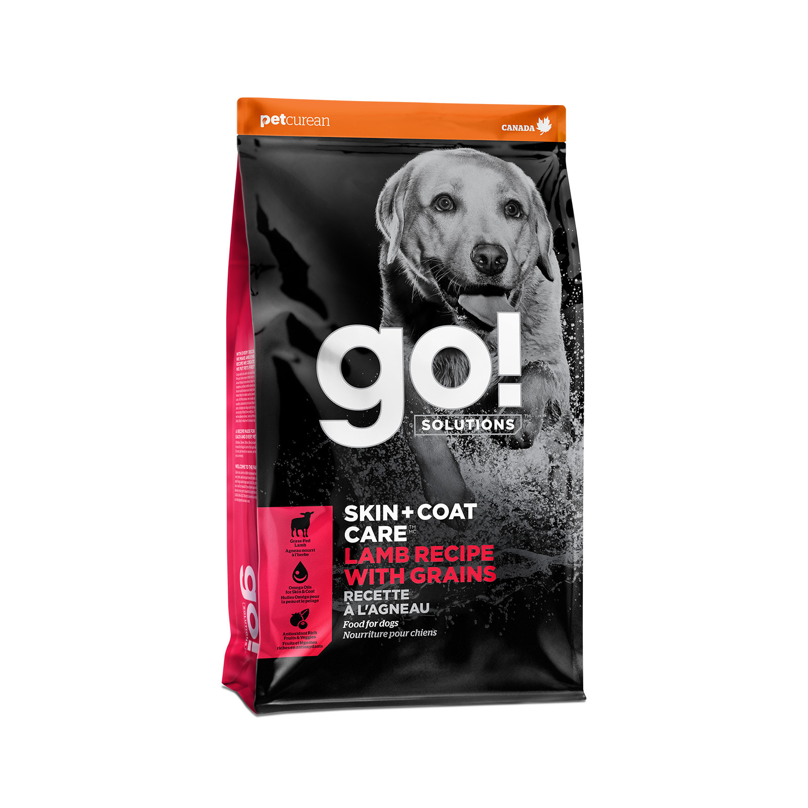 Go! Solutions Skin + Coat Care Lamb Recipe with Grains for Dogs