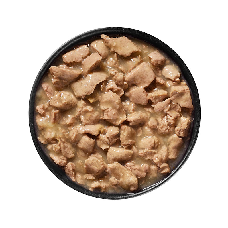 Bowl of GO! SOLUTIONS SENSITIVITIES Limited Ingredient Grain-Free Shredded Turkey Recipe for Dogs