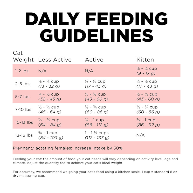 Go! Solutions Carnivore Grain-Free Salmon + Cod Recipe cat food feeding guidelines