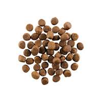 GO! SOLUTIONS CARNIVORE Grain-Free Chicken, Turkey + Duck Adult Recipe for Dogs kibble