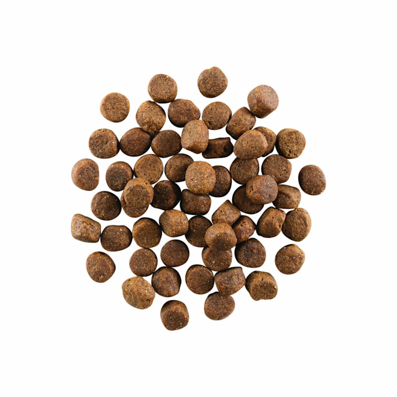 GO! SOLUTIONS CARNIVORE Grain-Free Chicken, Turkey + Duck Adult Recipe for Dogs kibble