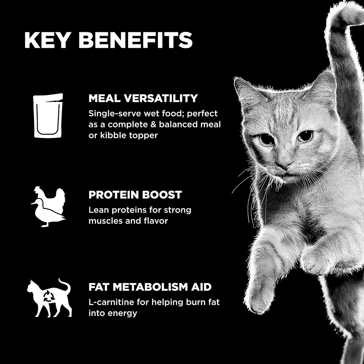 Meal versatility, lean proteins, and L-carnitine for healthy fat metabolism