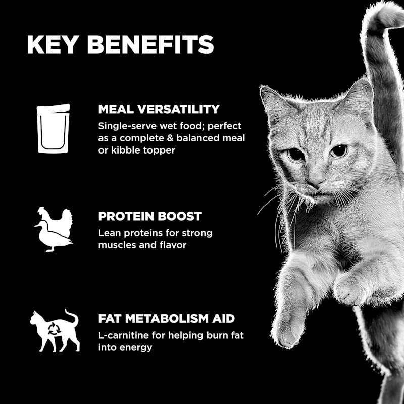 Meal versatility, lean proteins, and L-carnitine for healthy fat metabolism