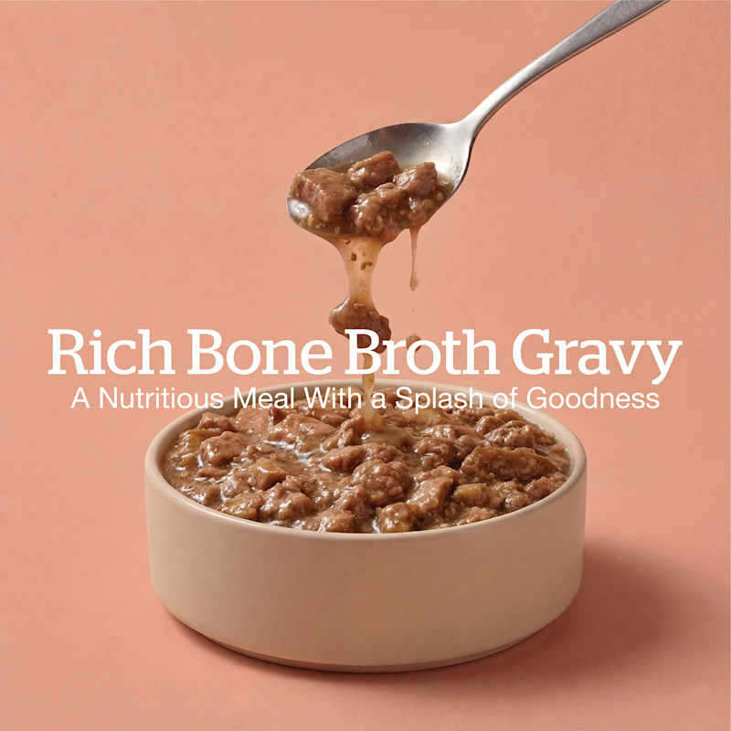 Rich Bone Broth Gravy
