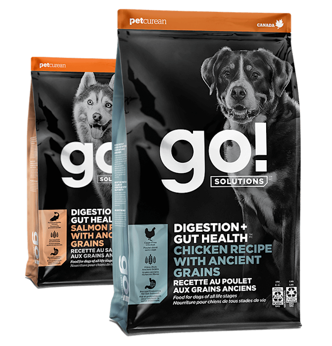 Go! Solutions Digestion + Gut Health dog food