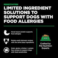Limited ingredient solutions to support dogs with food allergies
