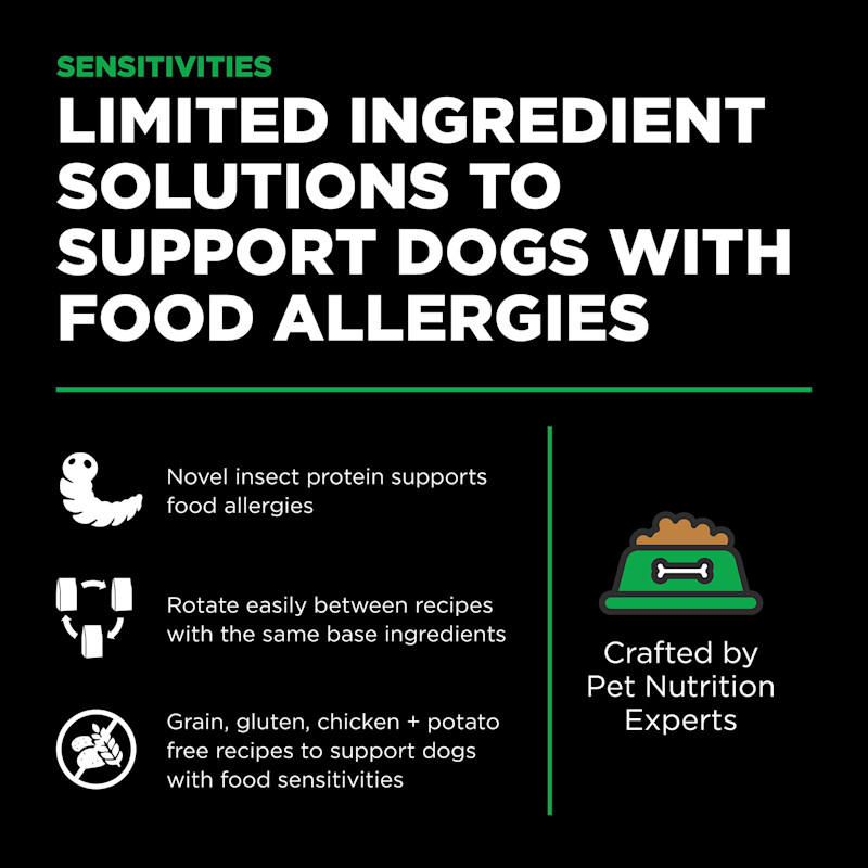 Limited ingredient solutions to support dogs with food allergies