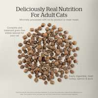 Complete and balanced grain-free kibble tailored for your cat