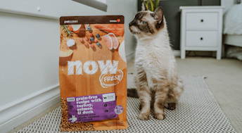 Cat sniffing NOW FRESH Senior Recipe bag of kibble