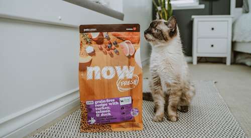 Cat sniffing NOW FRESH Senior Recipe bag of kibble