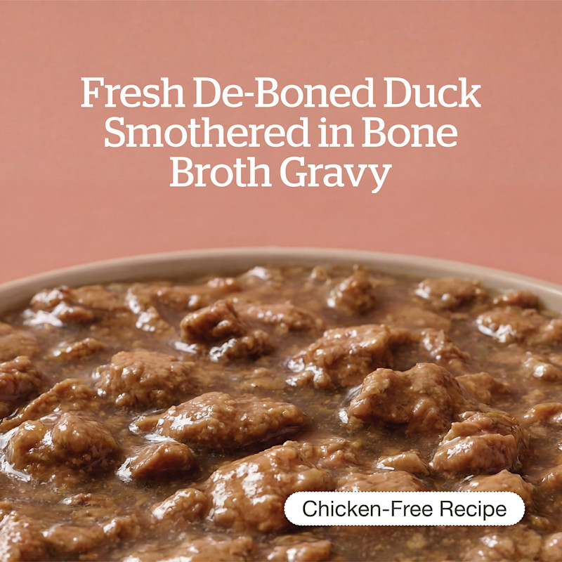 Fresh De-Boned Duck Smothered in Bone Broth Gravy
