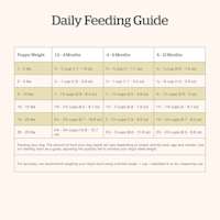 Now Fresh Small Breed Puppy Recipe dog food feeding guide