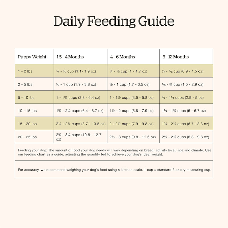 Now Fresh Small Breed Puppy Recipe dog food feeding guide