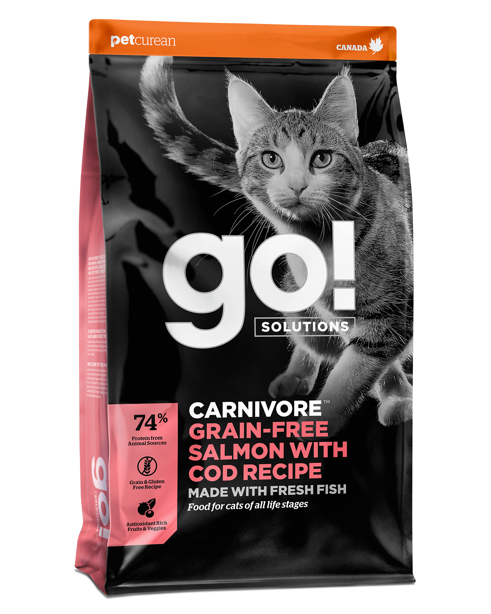 Go! Solutions Carnivore סלמון עם בקלה ללא גרעינים עם מתכון בקלה דגנים