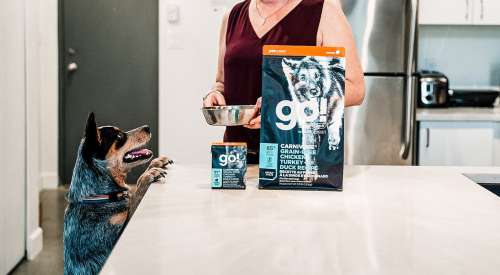 Blue Heeler with paws on counter with bag of GO! SOLUTIONS CARNIVORE Grain-Free Chicken, Turkey + Duck Adult Recipe for Dogs