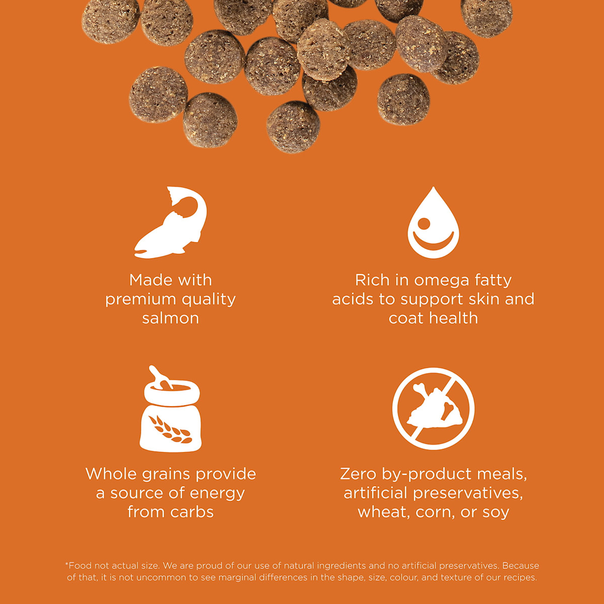 Made with premium-quality salmon, rich in omega fatty acids, with whole grains, and zero by-product meals