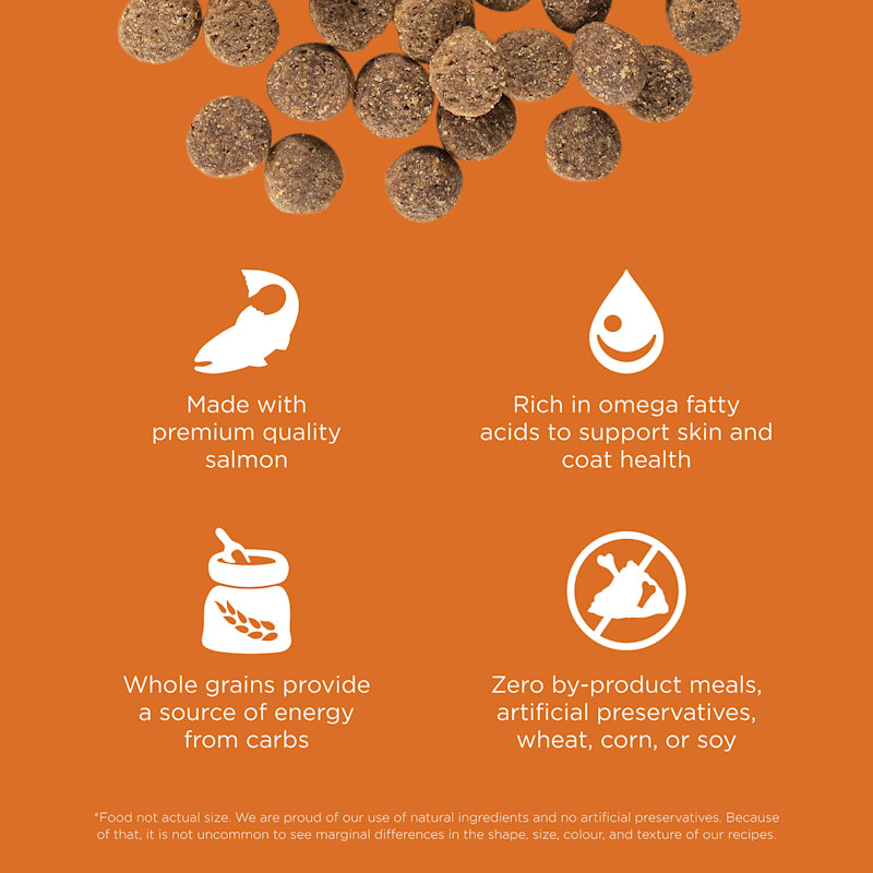 Made with premium-quality salmon, rich in omega fatty acids, with whole grains, and zero by-product meals