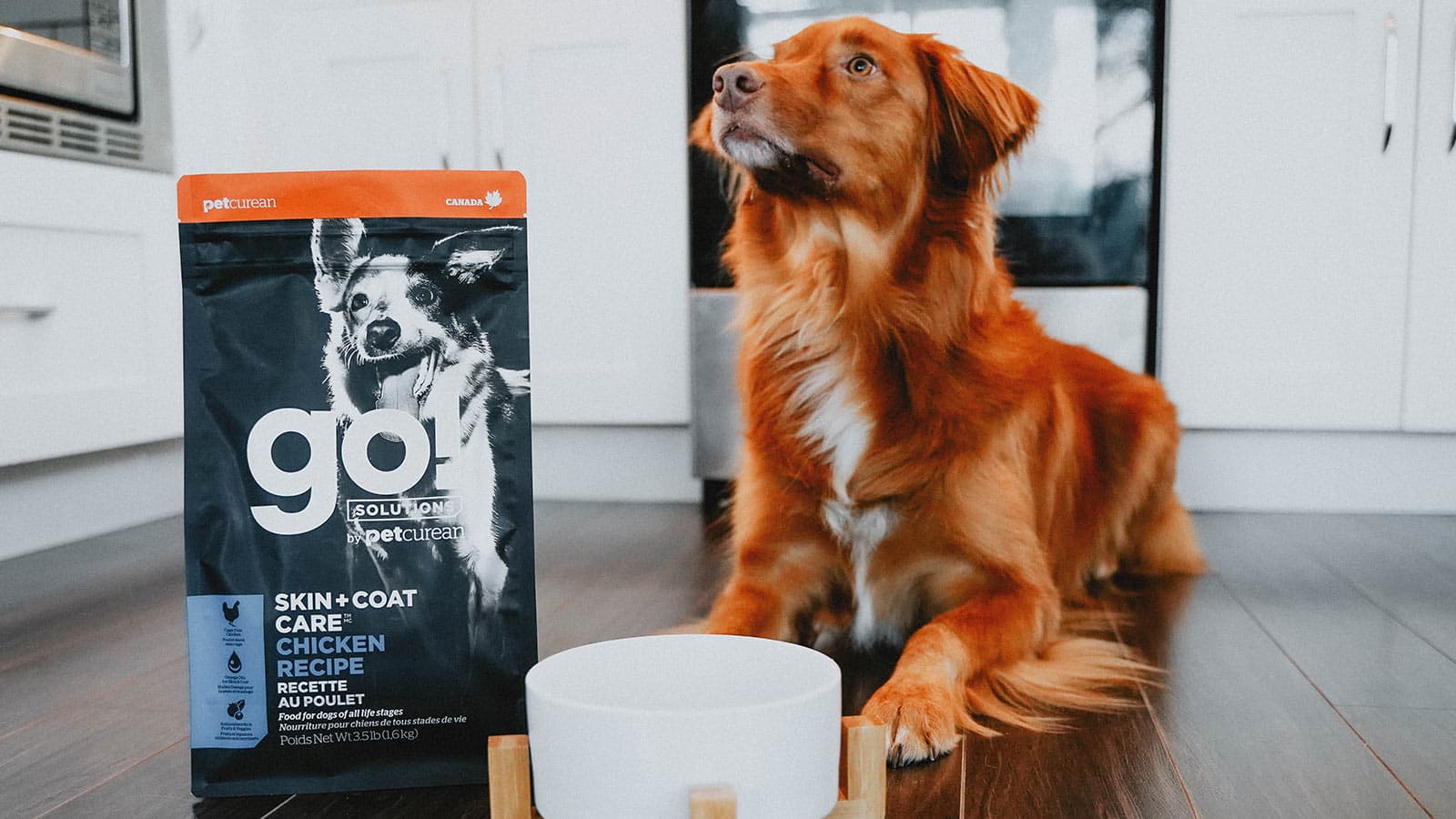 Dog Food for Itchy Dry Skin Go! Solutions Skin + Coat Care