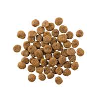 GO! SOLUTIONS SENSITIVITIES Limited Ingredient Grain-Free Salmon Recipe for Dogs kibble