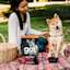 Woman with Shiba Inu having a picnic with GO! SOLUTIONS SENSITIVITIES Limited Ingredient Grain-Free Lamb Recipe for Dogs dry food