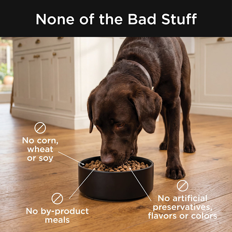 None of the bad stuff
