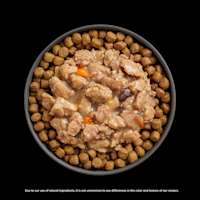 Go! Solutions Booster Immune Health Chicken + Salmon food topper on kibble