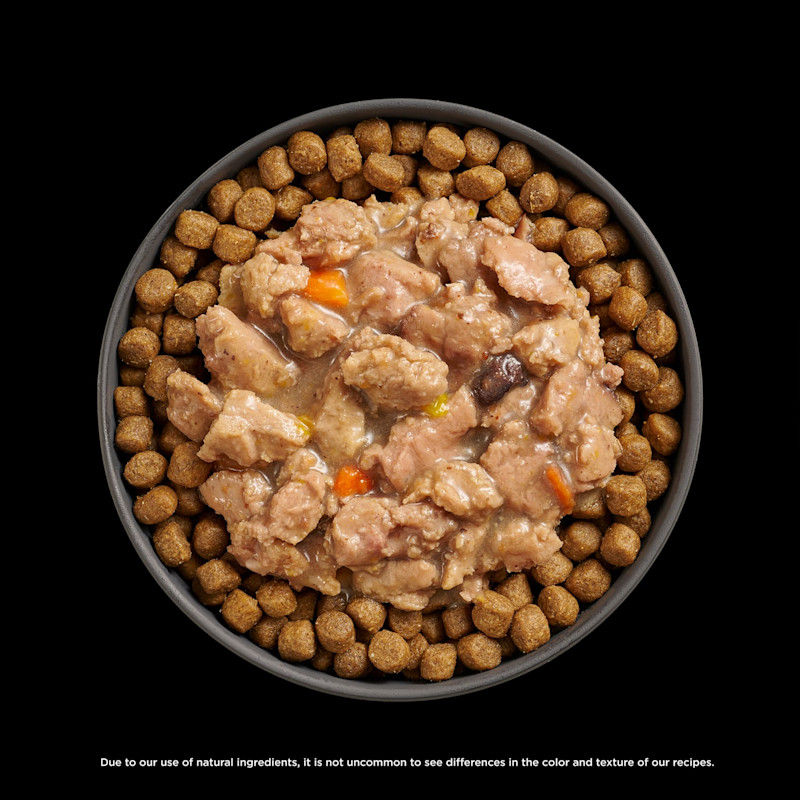 Go! Solutions Booster Immune Health Chicken + Salmon food topper on kibble