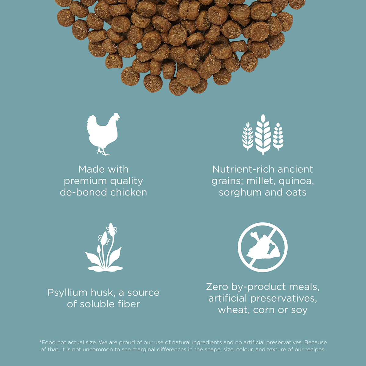 Made with premium-quality chicken, ancient grains, psyllium husk, and zero by-product meals