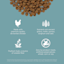 Made with premium-quality chicken, ancient grains, psyllium husk, and zero by-product meals