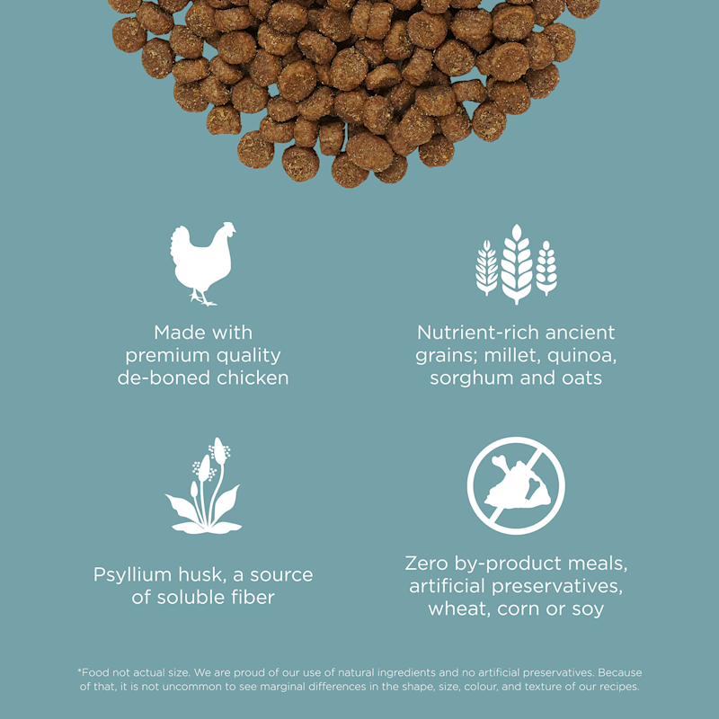 Made with premium-quality chicken, ancient grains, psyllium husk, and zero by-product meals