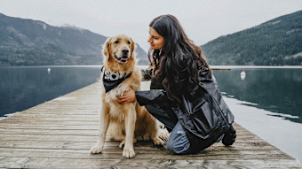 Golden Retriever and owner sitting on dock