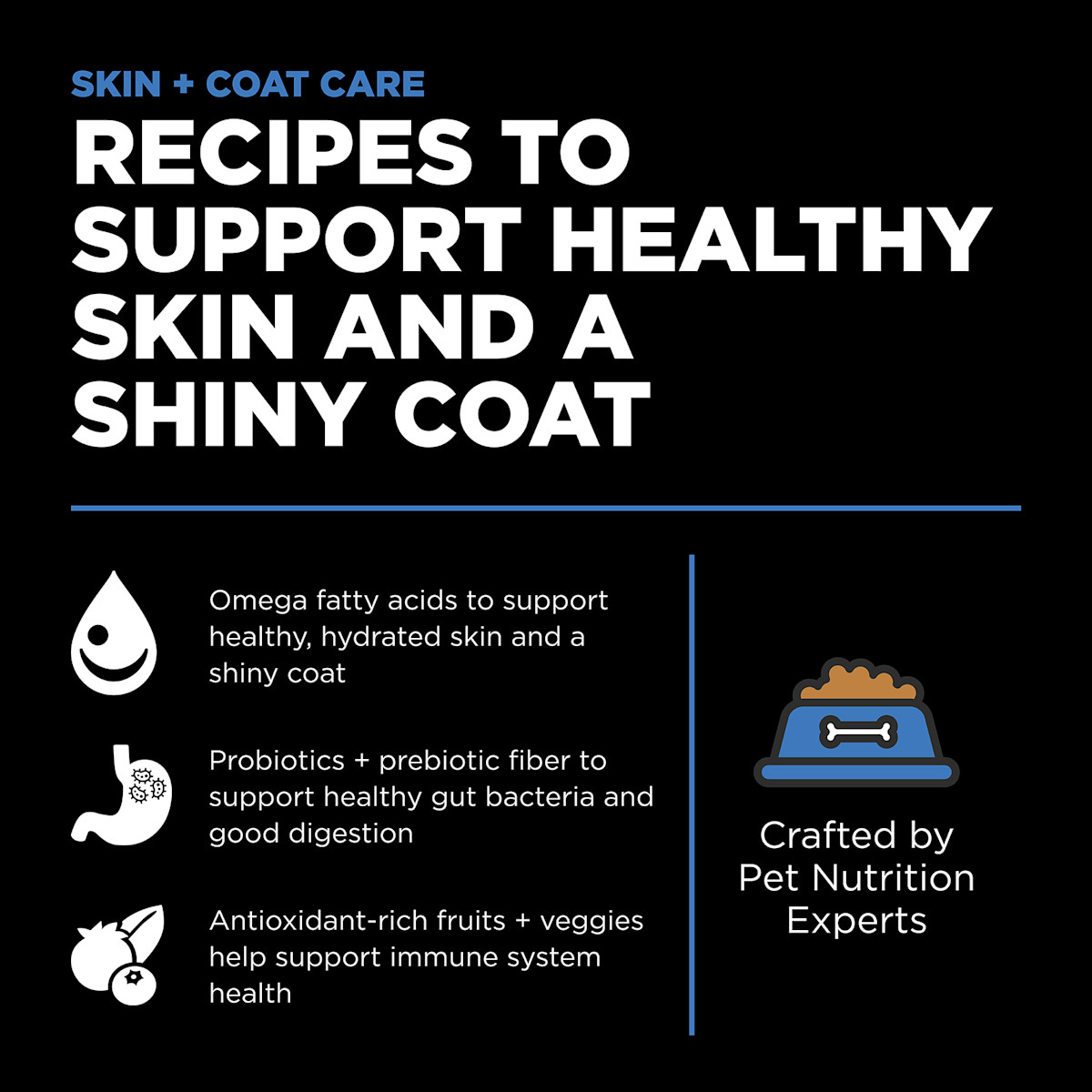 Recipes to support healthy skin and a shiny coat